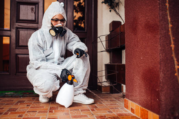 Reliable Wasp Removal contractor in Lake Ozark, MO by Show Me Pest Control